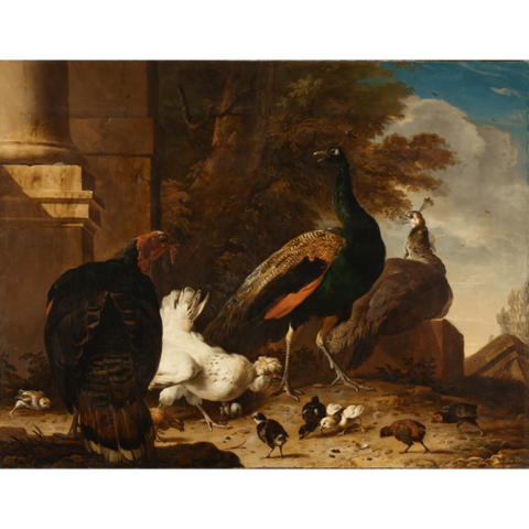 A hen with peacocks and a turkey